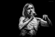 Iggy Pop