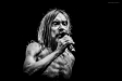Iggy Pop
