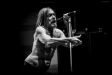Iggy Pop