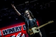 The Winery Dogs, Barba Negra