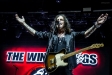 The Winery Dogs, Barba Negra