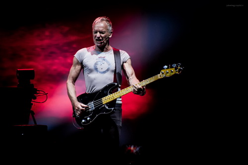 Sting