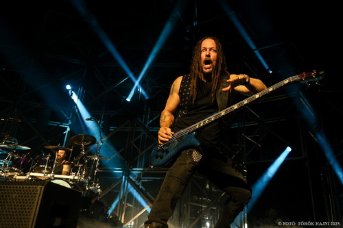 Disturbed