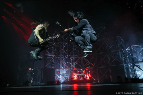 Disturbed
