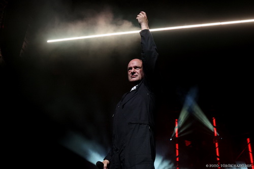 Disturbed