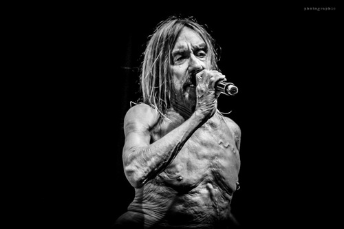 Iggy Pop