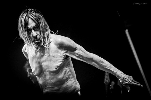 Iggy Pop