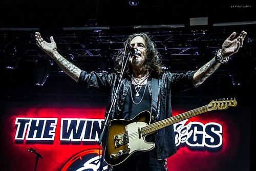 The Winery Dogs