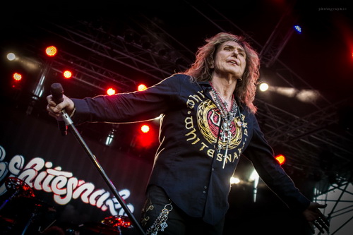 whitesnake-3.jpg